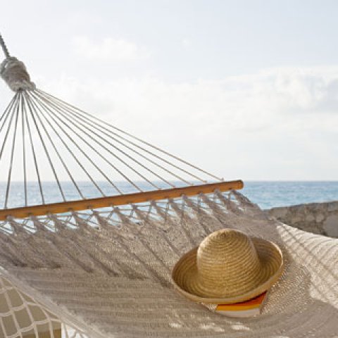 Zurück zum Reisebüro Zurück zum Reisebüro