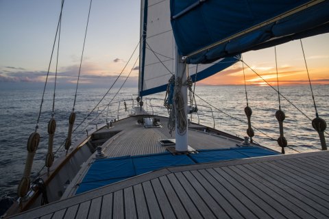 Schlemmen & Cruisen Schlemmen & Cruisen