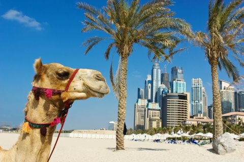 Dubai & Nepal Dubai & Nepal